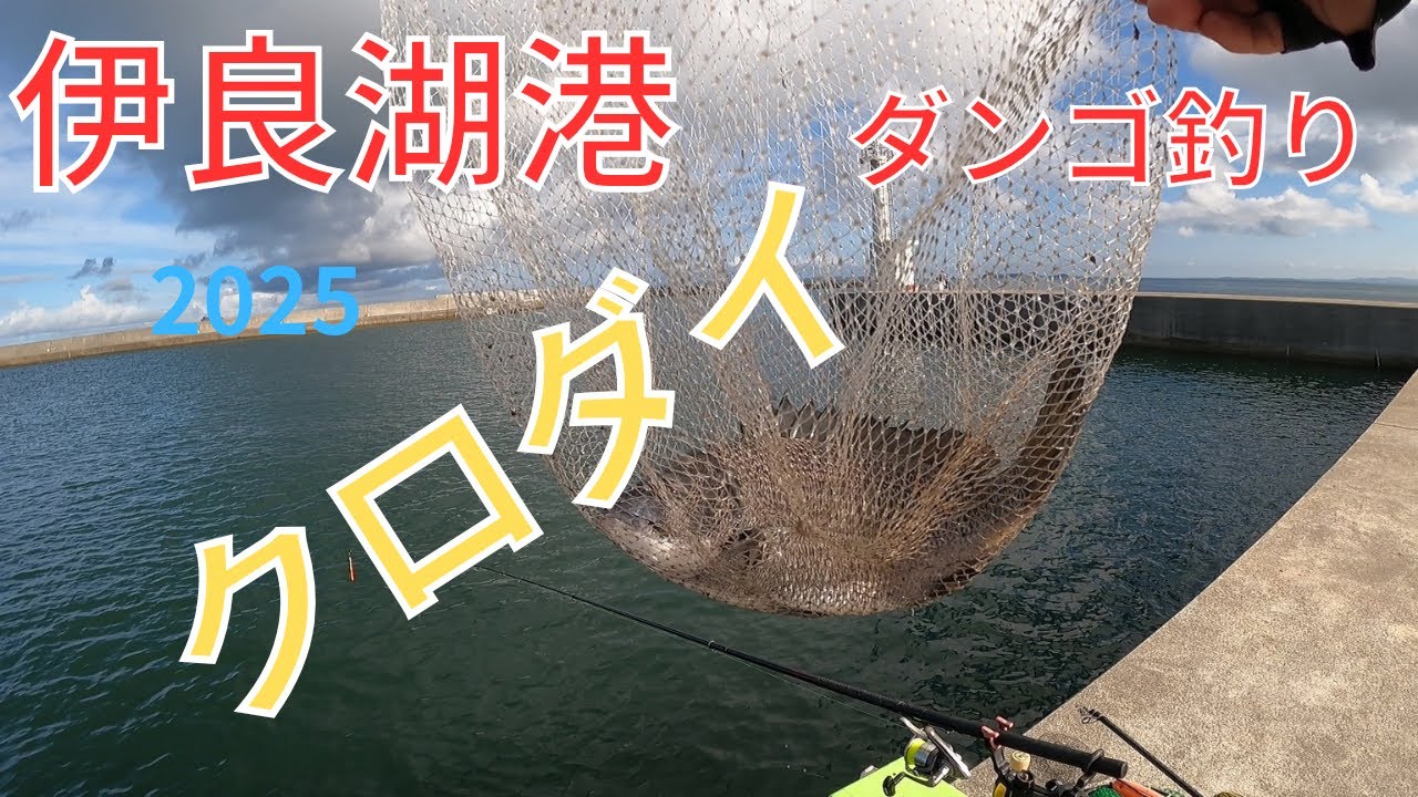 伊良湖港でダンゴ釣り