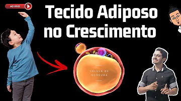 Quais os lipídios armazenados pelo tecido adiposo unilocular?