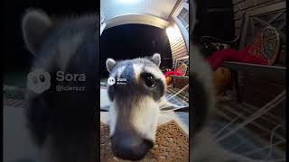 #amazon #animal #funny #gaming #goofy #hilarious #like #popular #fyp #brainrot #clashroyale #ring