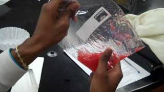 DNA Extraction.wmv