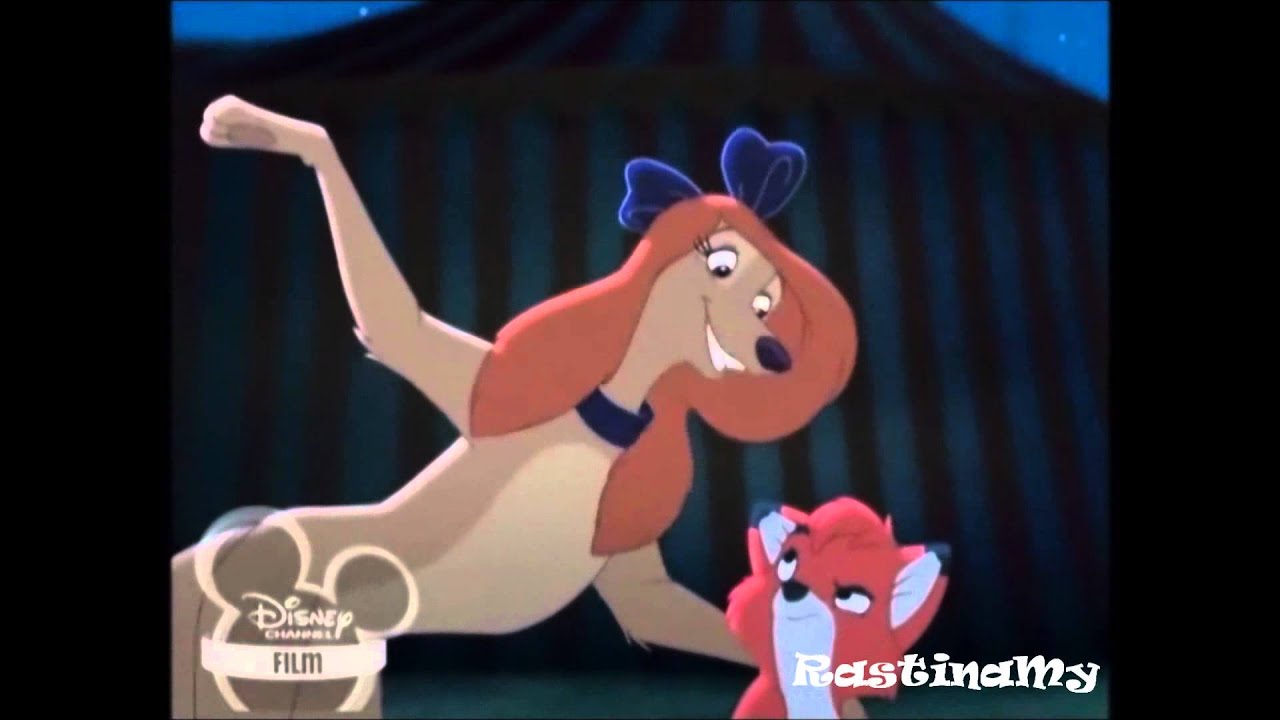 ♦Animash~Americano♦