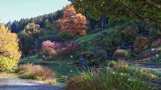 Teinach Teinach Zavelstein