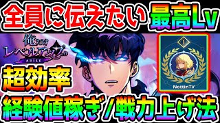 【俺だけレベルアップな件】経験値稼ぎ/戦力上げ法！必ず強くなる『10選！』リセマラおすすめ/お金稼ぎゴールド稼ぎ/強いスキルetc 全てを詰め込んだ解説！【 俺アラ 俺レべ arise ゲーム】