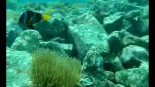 oobiki 20090510 01