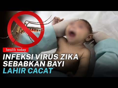 Video: Panduan Menghindari Virus Zika di Yunani