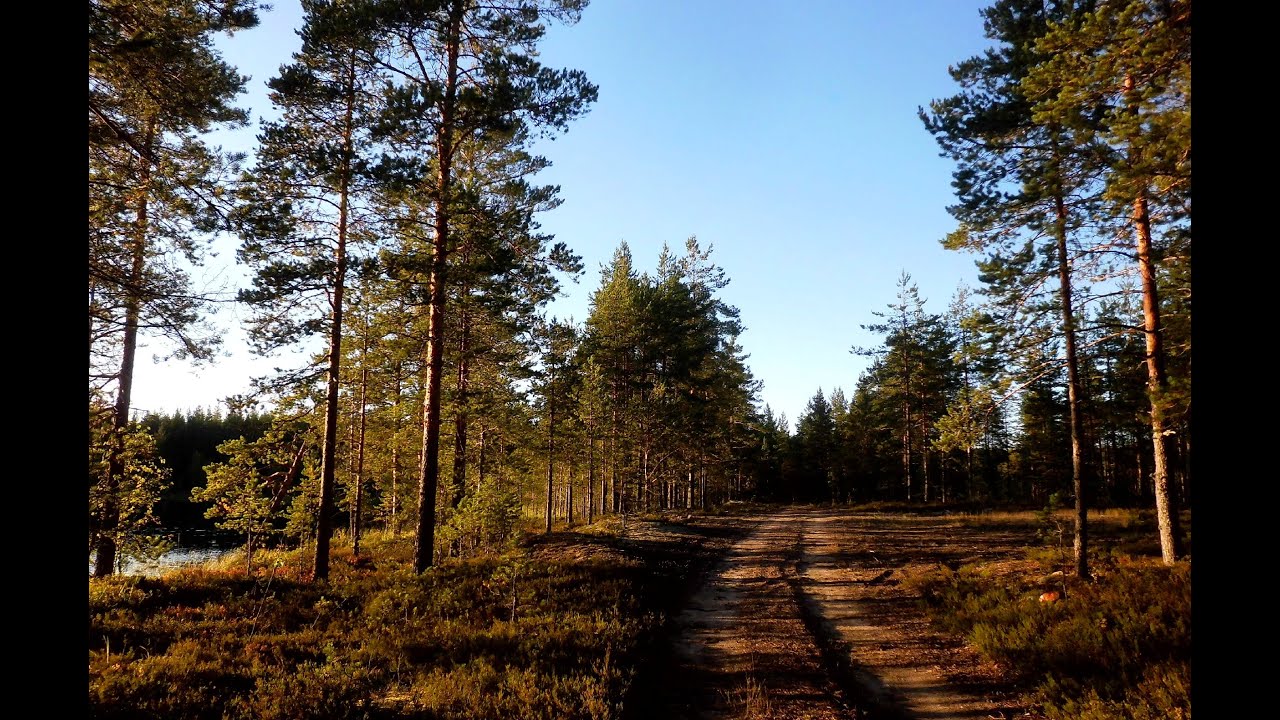 2025 "Избушки и ламбушки" Карельский велопоходик.Озёра. Природа.