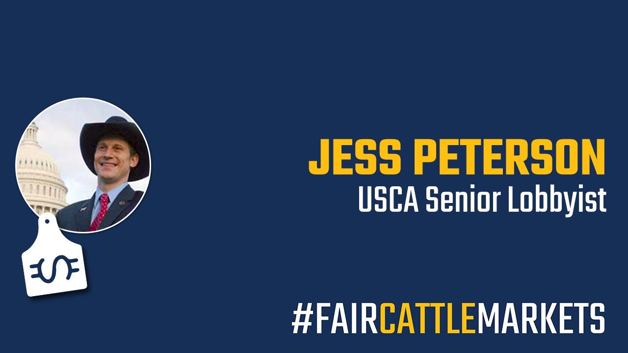 Fair Cattle Markets: Interview with Jess Peterson, USCA Senior Policy Advisor