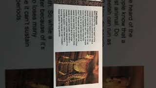 IMG 1916