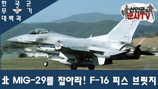 [한국군 무기 대백과] F-16PB 피스브릿지