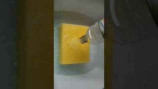 ASMR Compilation sponge ASMR Schwamm -Soapysponge Sponge ASMR eponge ASMR游動 @scrubmamag