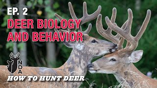 Deer Biology And Behavior. How to Hunt Deer Ep. 2