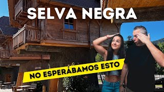 Lo MEJOR de Selva Negra | Viajar en Autocaravana