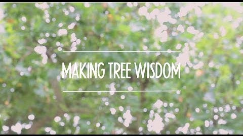 Making Tree Wisdom - Tutorial 1: Controlling lines in VideoScribe