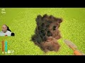 End of video