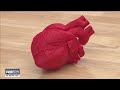 Tampa surgeons printing 3D replicas of organs