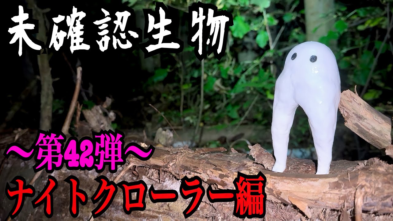 【未確認生物】ナイトクローラー見つけるまで帰れません！！！！