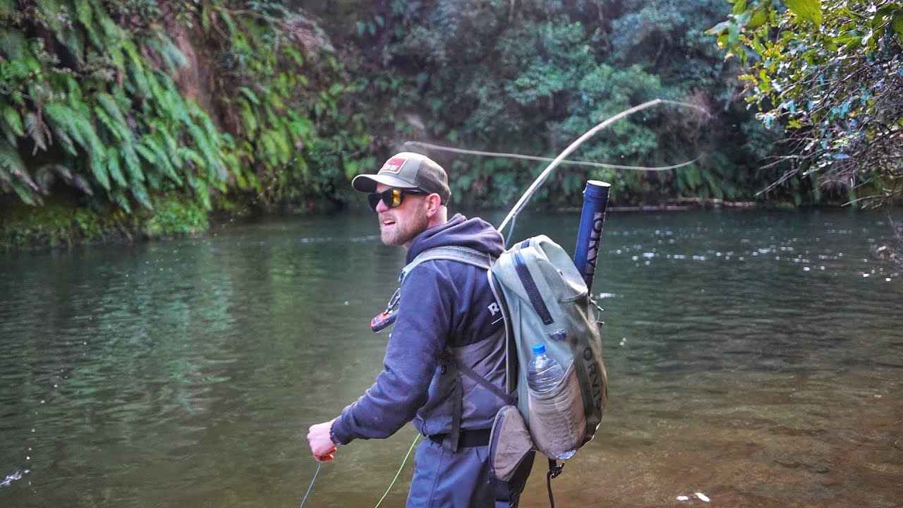 Possibly the Best Streamer Fishing You’ll Ever See