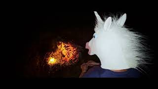 Unicorn Man Raids Again