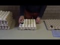 Nuovo Egg Stamper - Easy Stamp EMS1