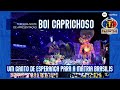 FESTIVAL DE PARINTINS 2019 | BOI CAPRICHOSO | 3° noite