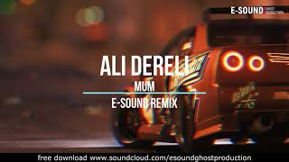 Ali Dereli - Mum  ( E-Sound Remix )