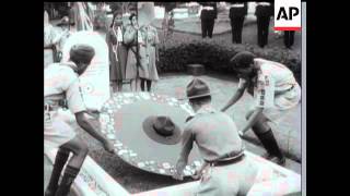 HOMAGE TO BADEN POWELL screenshot 3