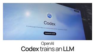 Using OpenAI Codex to Train An LLM