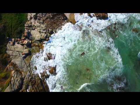 Sea Waves |