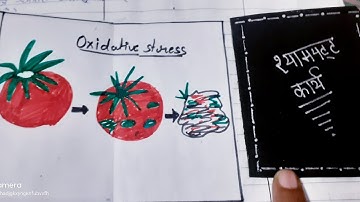 HOW TO MAKE MACRO TEACHING LESSON PLAN ‐RAINCIDITY (CHEMISTRY).#lessonplan #macro #teaching