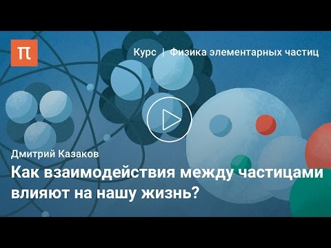 Фундаментальные взаимодействия — Дмитрий Казаков