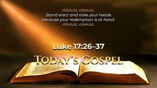 Daily Mass Readings Reflection November 14, 2025
