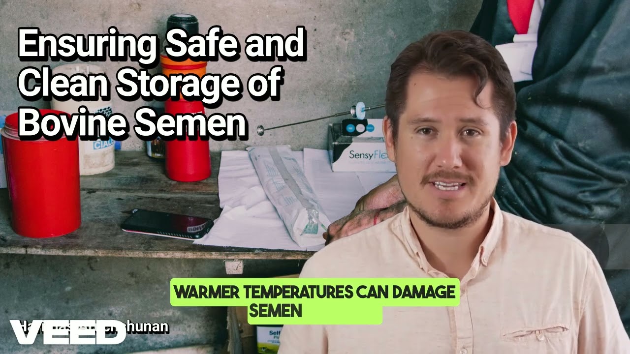 Essential Tips for Bovine Semen Storage