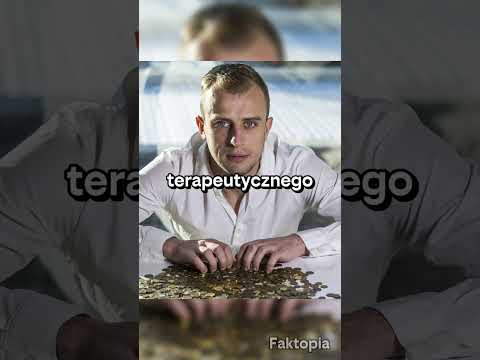 TOP 4 Polskie Gwiazdy, Które Uzależniły się od Hazardu i Prawie Wszystko Straciły! thumbnail