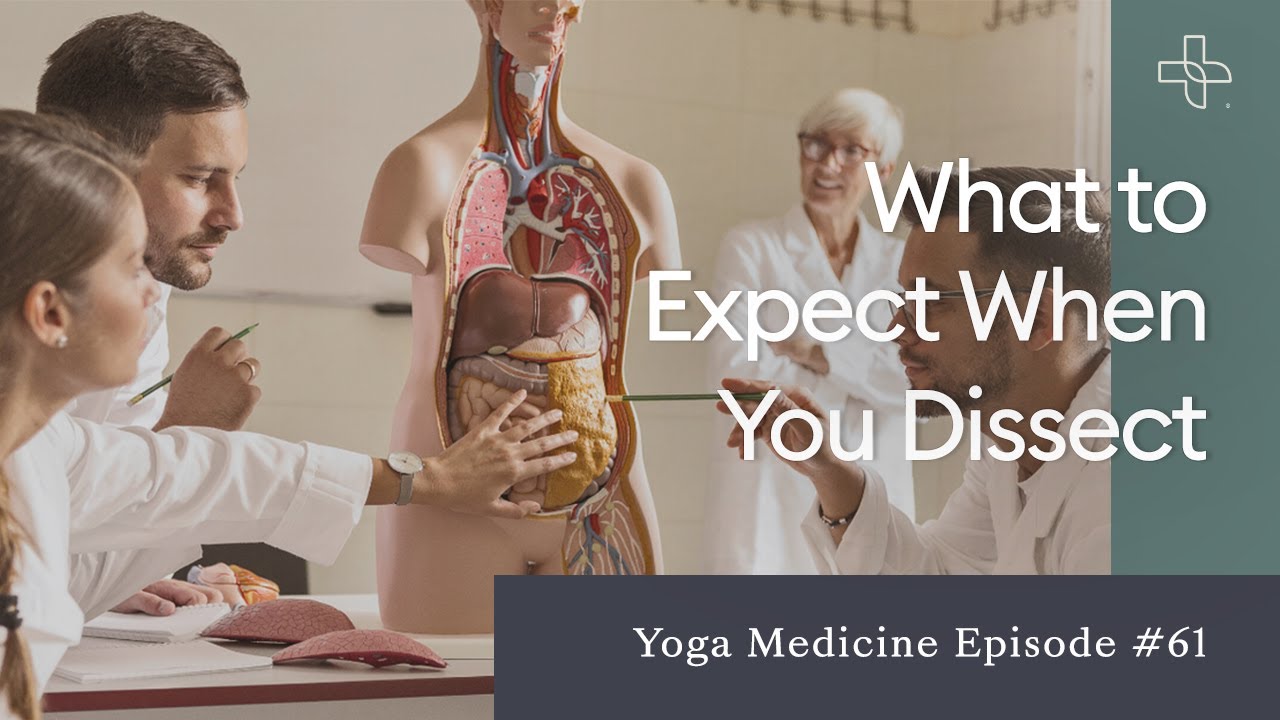 What to Expect When You Dissect YouTube