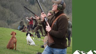 How to teach gundogs on a summer simulated game day screenshot 4