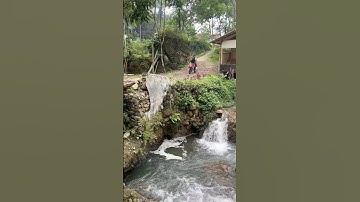 Suasana kampung yang indah dan bikin betah #youtube #shorts #viral #beranda #village #fyp