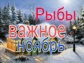 РЫБЫ ВАЖНОЕ НОЯБРЬ 2019г. ТАРО ПАСЬЯНС РУНЫ 12 ДОМОВ