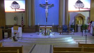 The Real Presence: How the Old Testament Prefigures the Eucharist