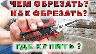 Ножницы для обрезки копыт