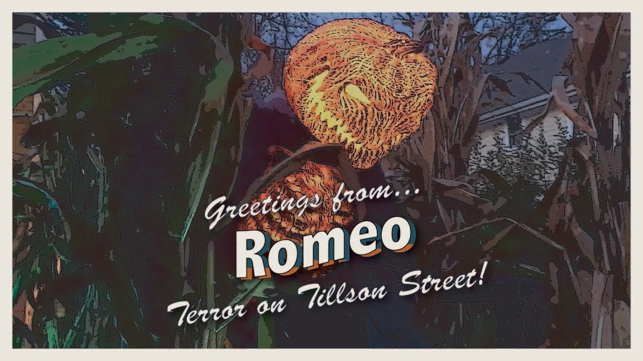 Terror on Tillson Street! (Romeo, Michigan) YouTube