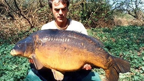 An Obsession with Carp episode 20 (Wraysbury part 8)