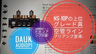 Nobsound新型真空管プリアンプDouk AudioP1を紹介してみました。オマケ付き