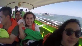 Med Dance Summer Outing 2016