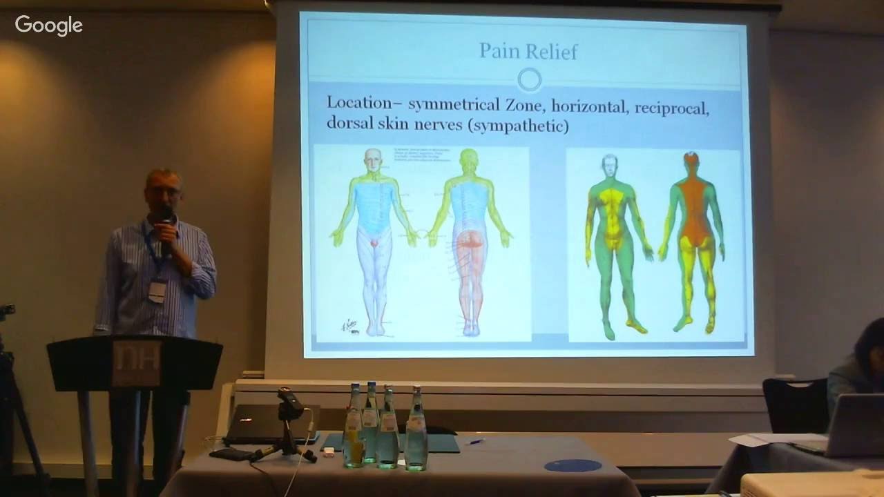 The International 'SCENAR against pain' Conference. Guest Speaker programm. Part 3 (RUS)