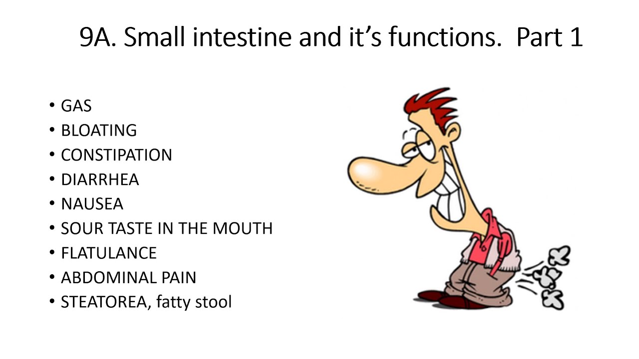 Small intestine problems. BLOATING, CONSTIPATION, NAUSEA, SOUR TASTE ...