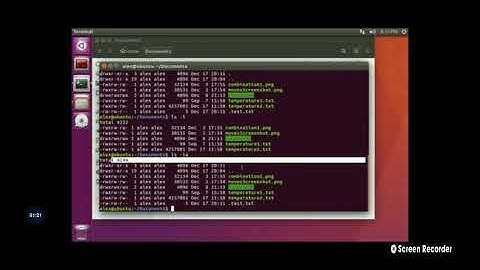 Count number of file folders in Unix using wc l