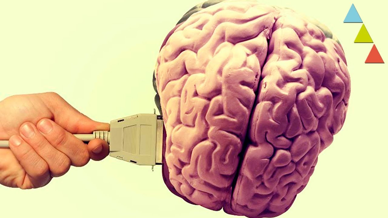 Internet ¡Ha Cambiado Tu Cerebro!