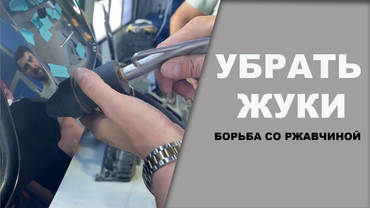 Убрать жуки на автомобиле