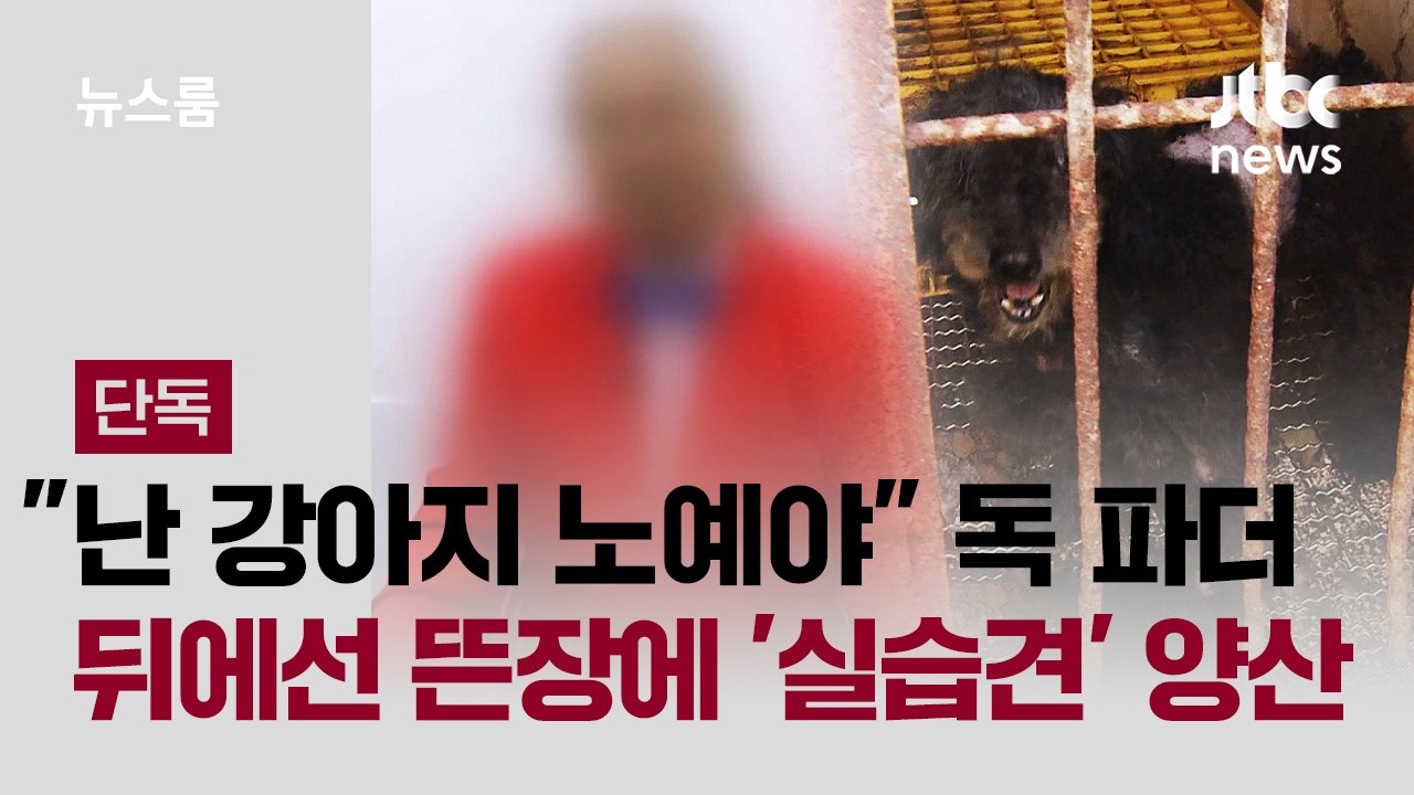 JTBC 반려동물 미용계 독 파더 관련 보도 대표 이미지