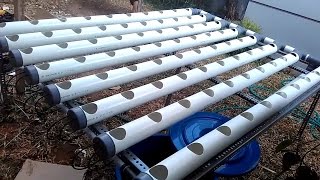 Instalasi Hidroponik NFT atau DFT? Paralon PVC